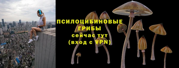 марихуана Белокуриха