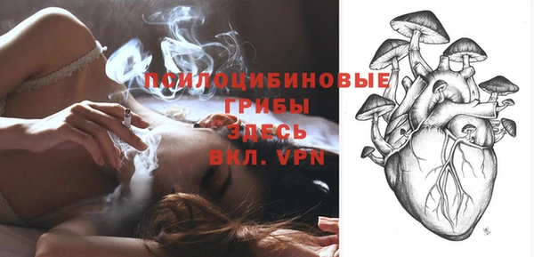 первитин Тында