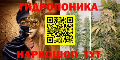 дурь Дубна