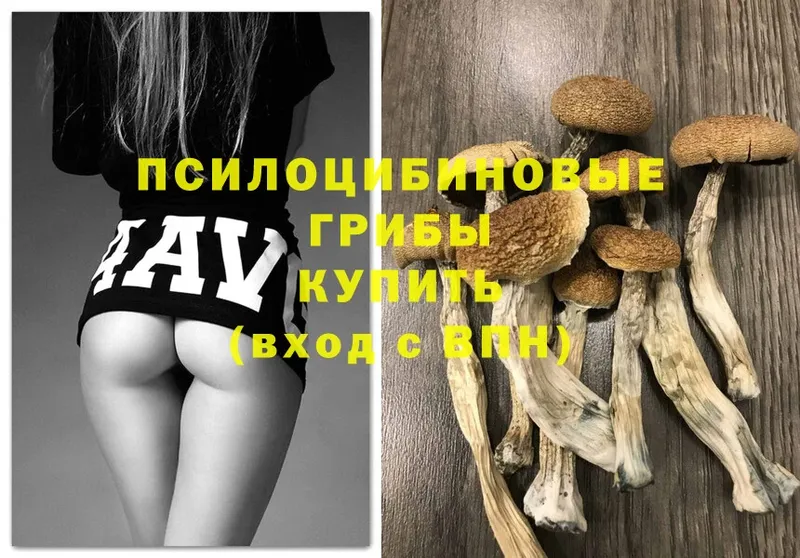 закладки  Валуйки  OMG зеркало  Псилоцибиновые грибы Magic Shrooms 