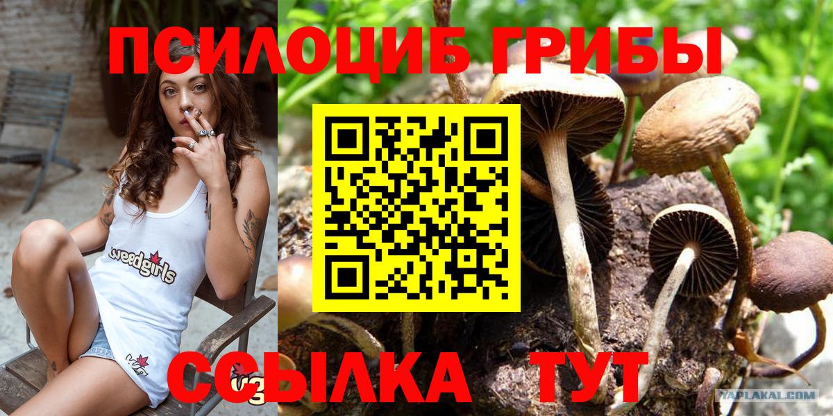 Псилоцибиновые грибы ЛСД  Вход с VPN  Валуйки  Галлюциногенные грибы GOLDEN TEACHER 